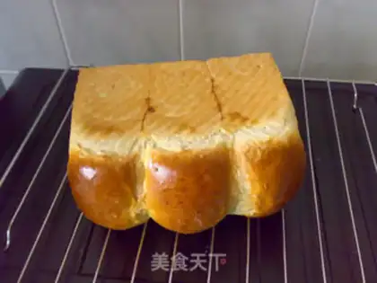 Make Toast step 17