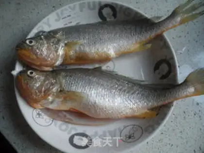 Make Jealousy yellowfish step 0