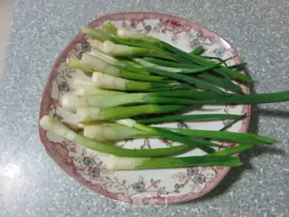 Make Hands on the onions step 0