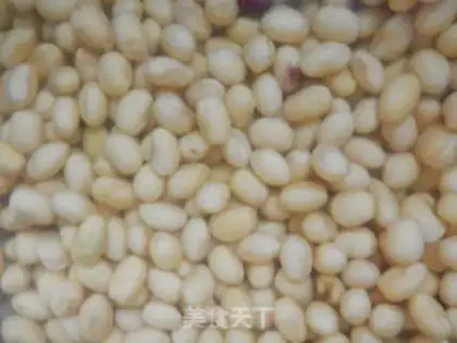 Make Self-made tofu step 2