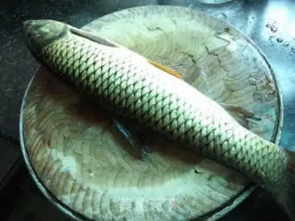 Make Spicy fish willows step 0