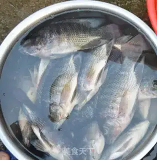 Make Fish step 0