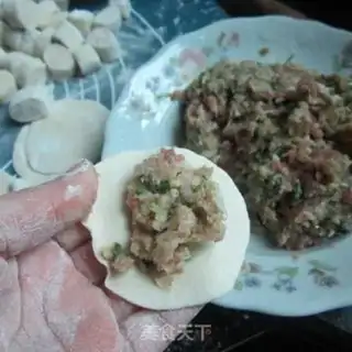 Make Pork dumplings step 6