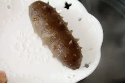 Make The sea cucumber step 10