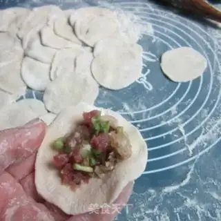 Make Wood Pork dumplings step 4
