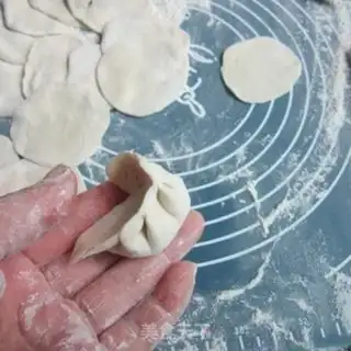 Make Wood Pork dumplings step 5