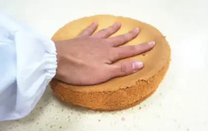 Make A super-detailed eight-inch twilight cake step 21