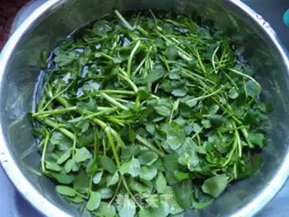 Make Western Bones soup step 2