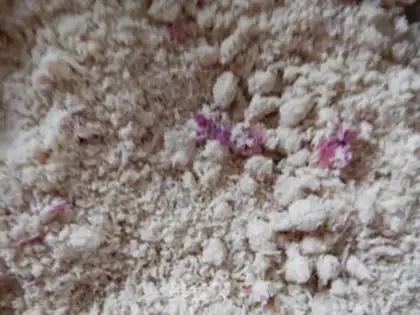 Make Homemade rose yellow cake step 9
