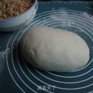 Make Pork dumplings step 5