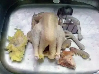 Make White pheasant step 0