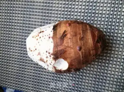 Make White taro step 0