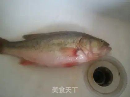 Make Squidfish step 1