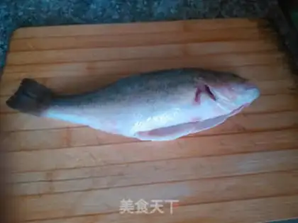 Make Squidfish step 2