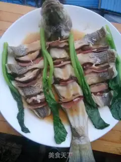 Make Squidfish step 13