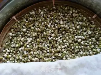 Make Auto green bean sprouts step 3
