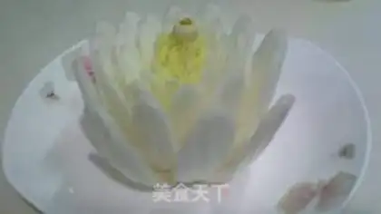 Make Fish play Lotus step 7