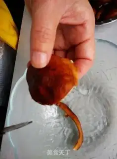 Make Plum powder step 1