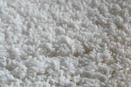 Make Rice and soup step 0