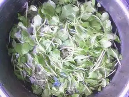 Make The radish salad step 2
