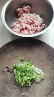 Make Pork dumplings step 0