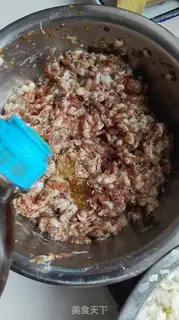 Make Pork dumplings step 8