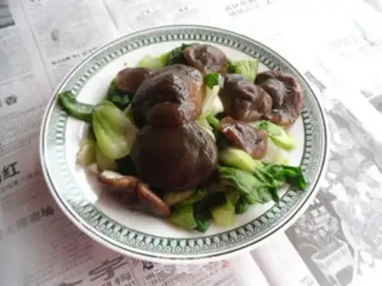 Make Mushroom oil step 5