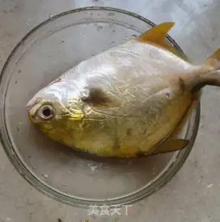 Make Vacuated goldfish step 0