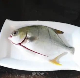 Make Vacuated goldfish step 1