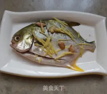 Make Vacuated goldfish step 3