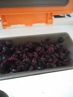 Make Cranberry toast step 5