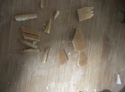 Make Chicken, run step 2