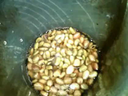 Make Peanut almond soy step 3