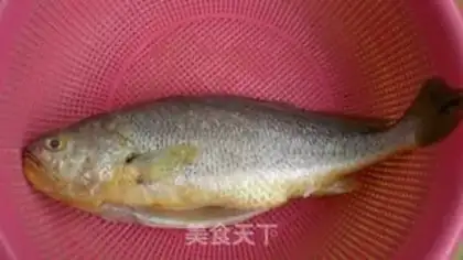 Make Vacuated yellowfish step 0