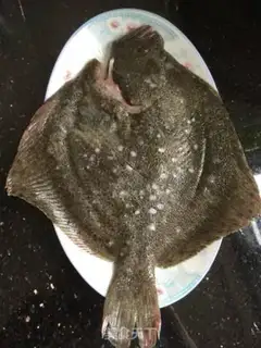 Make Fish step 0