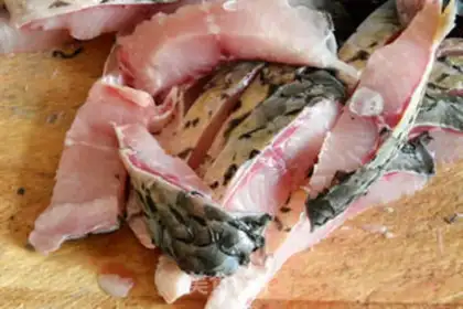 Make Weedfish step 1