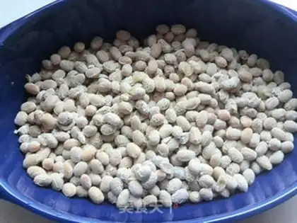Make Homemade soybeans step 11