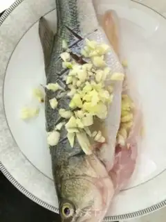 Make Steamfish step 0