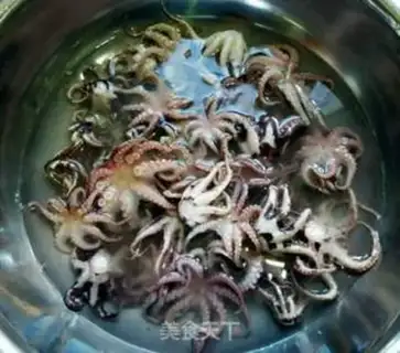 Make Red fire and squid step 3