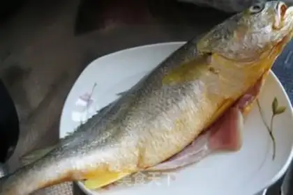 Make Vacuated yellowfish step 0