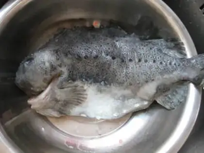 Make Red-burned cucumberfish step 0
