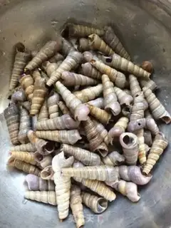 Make Spicy screws step 2
