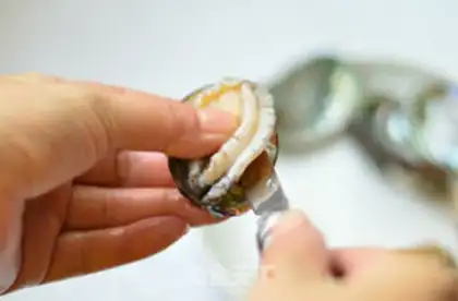 Make Abalone step 2