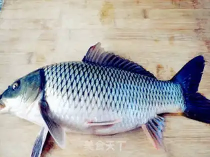 Make Carp step 0