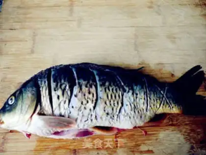 Make Carp step 4