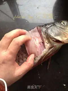 Make Jell-O carp step 0