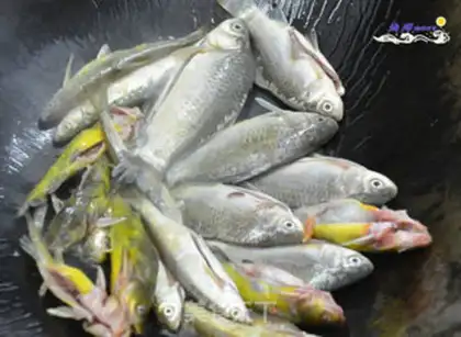 Make Pumpkin fish step 1