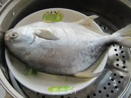Make Vacuated goldfish step 5