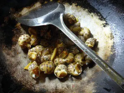 Make Snails step 7