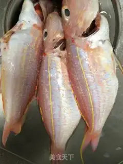 Make Red Shirt Fish step 0